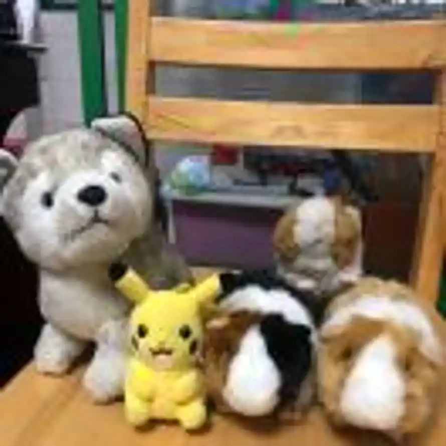 康宝的头像