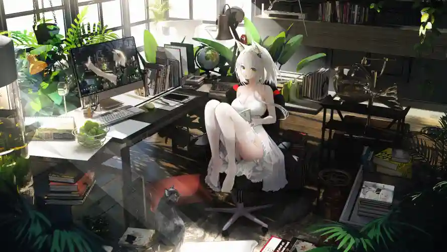 4k少女壁纸-猫耳 - -热门的壁纸「哲风壁纸」