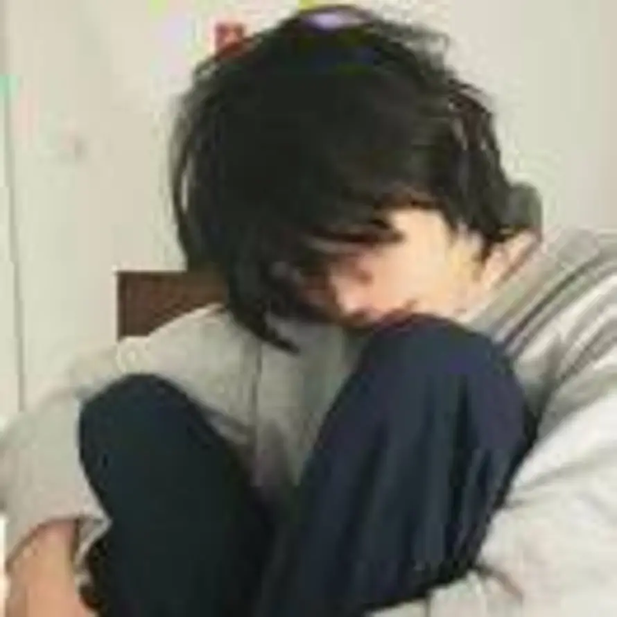 桃夭的头像