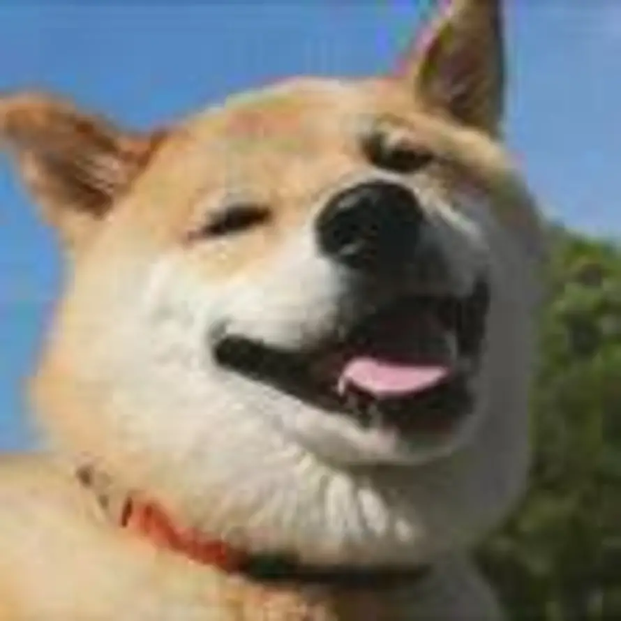 Lee的头像