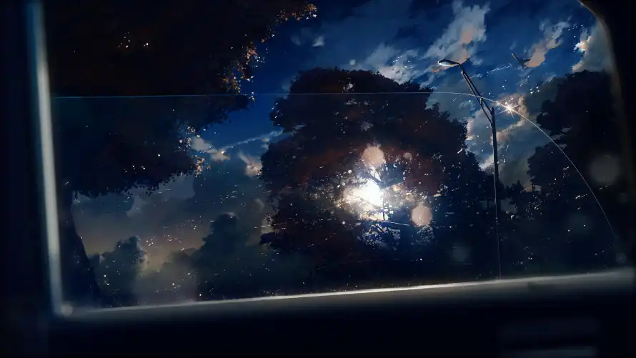 3k车窗外壁纸-夜晚森林的天空壁纸和-热门的壁纸「哲风壁纸」