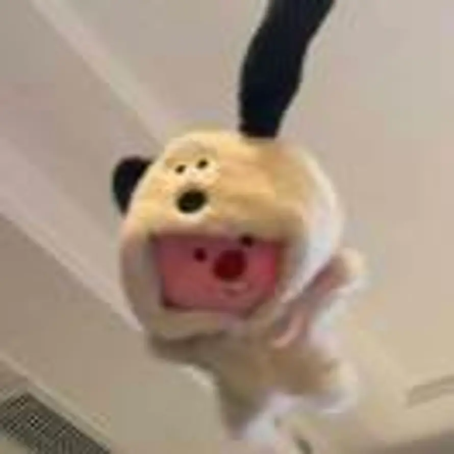 oioi的头像