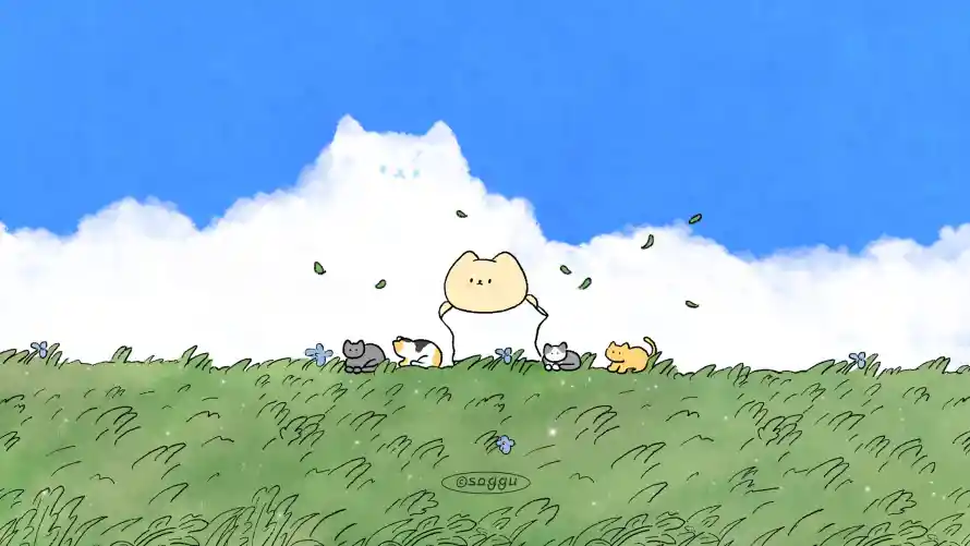 Favorite Image