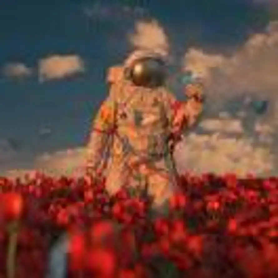 星痕的头像