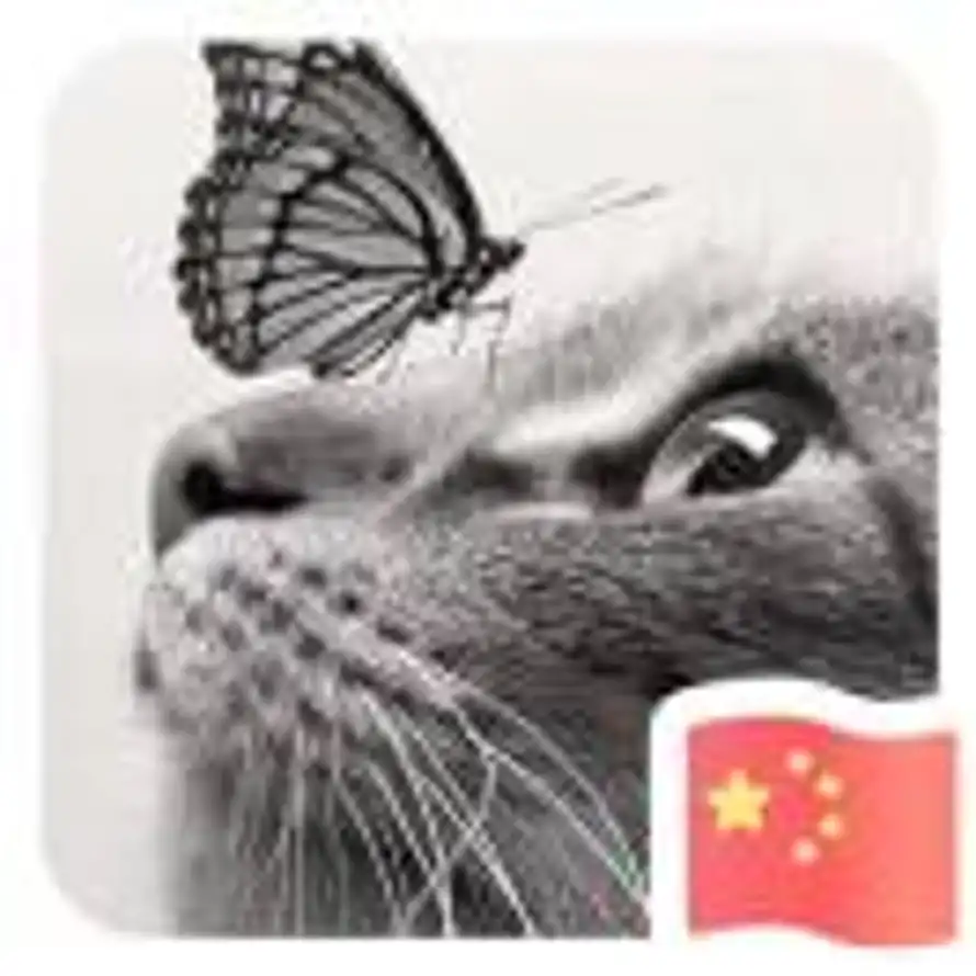 梅园浅唱的头像