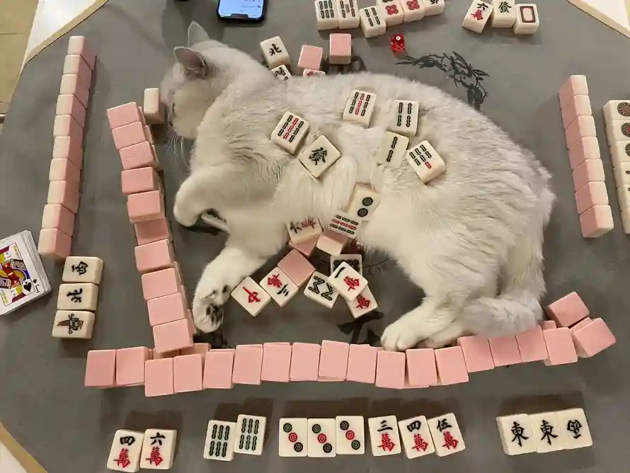 Favorite Image