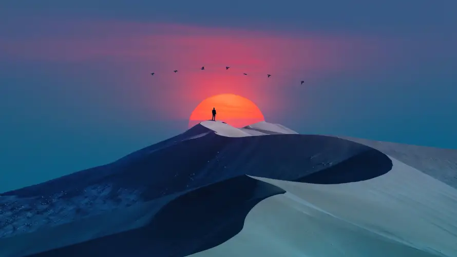 Favorite Image