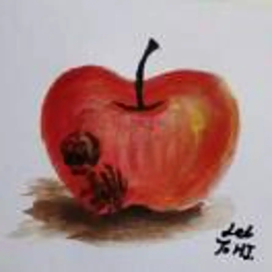 小苹果🍎的头像