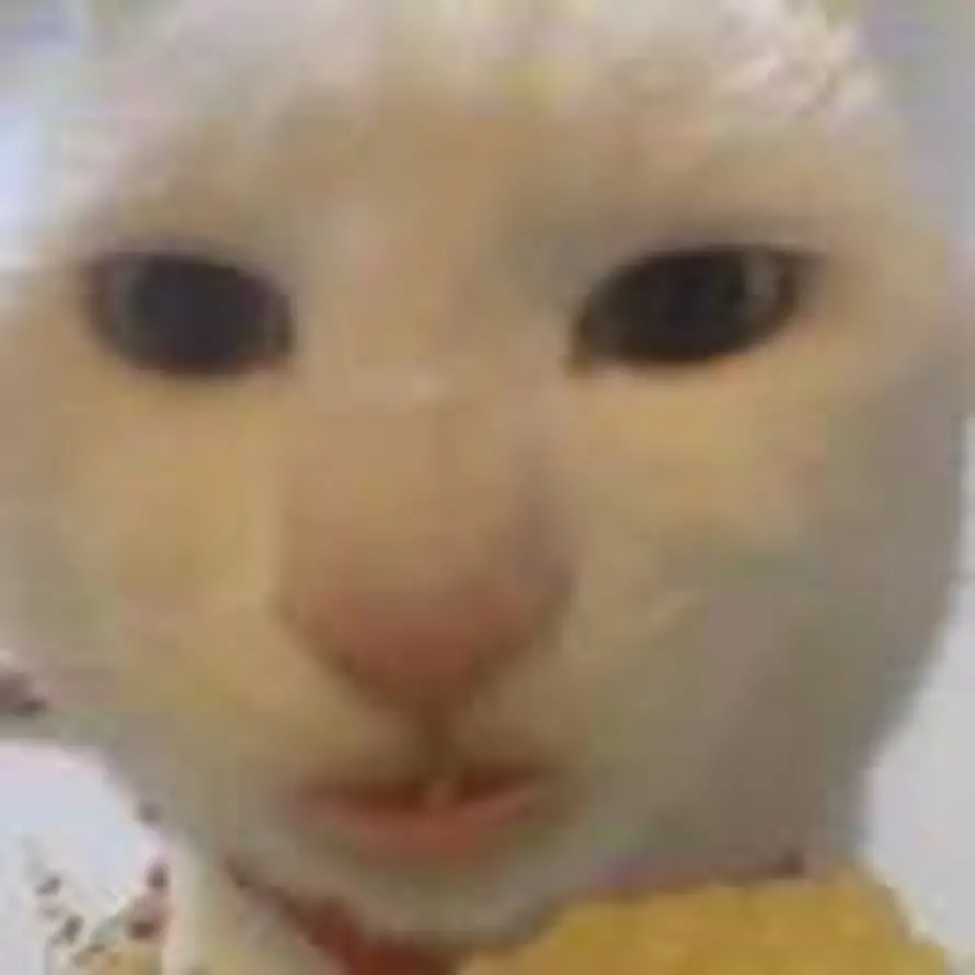 yephehr的头像
