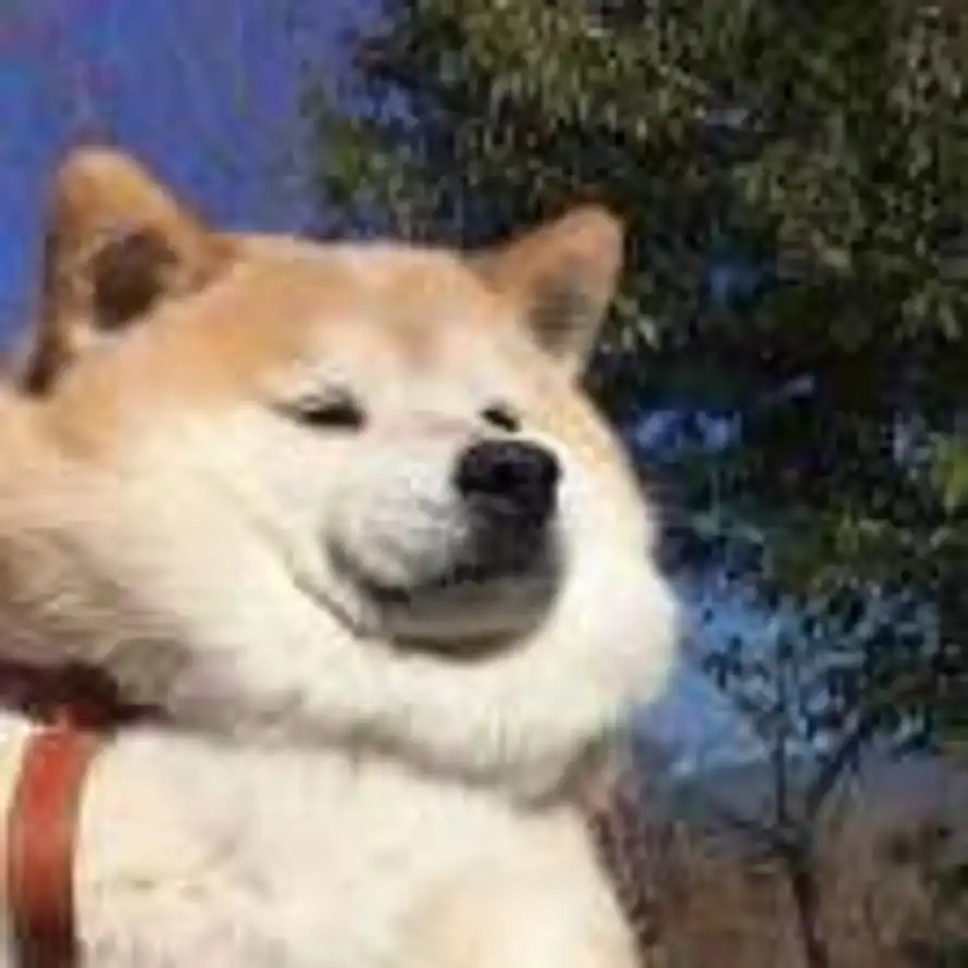 ～的头像