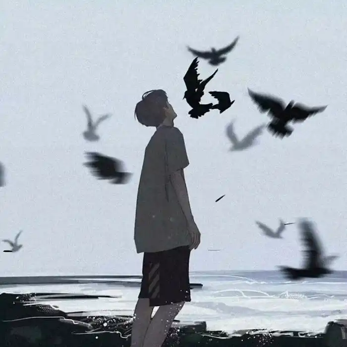 秋的头像