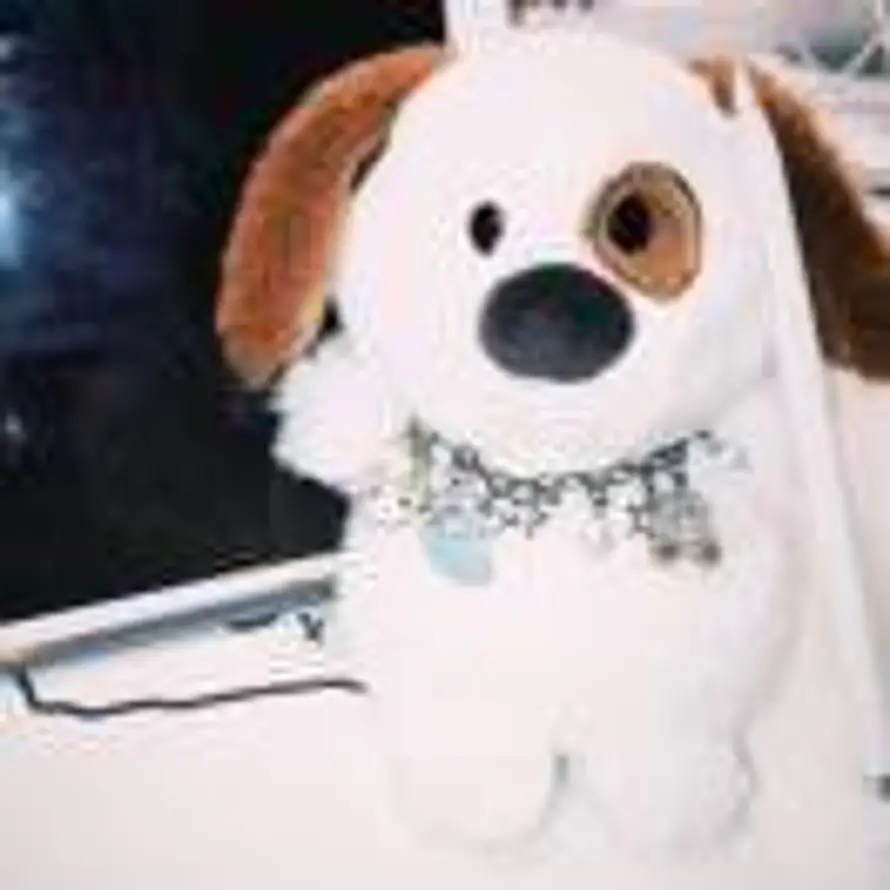 考试检测大成功的头像