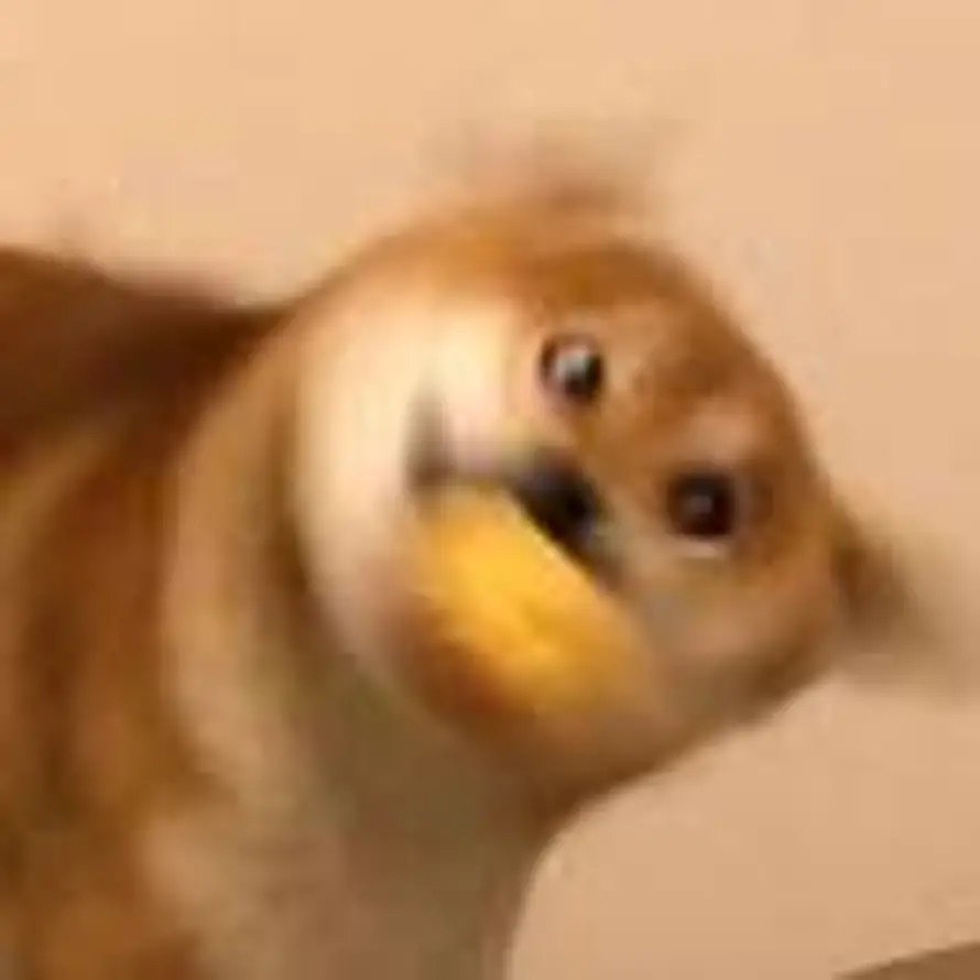 waxiloao的头像