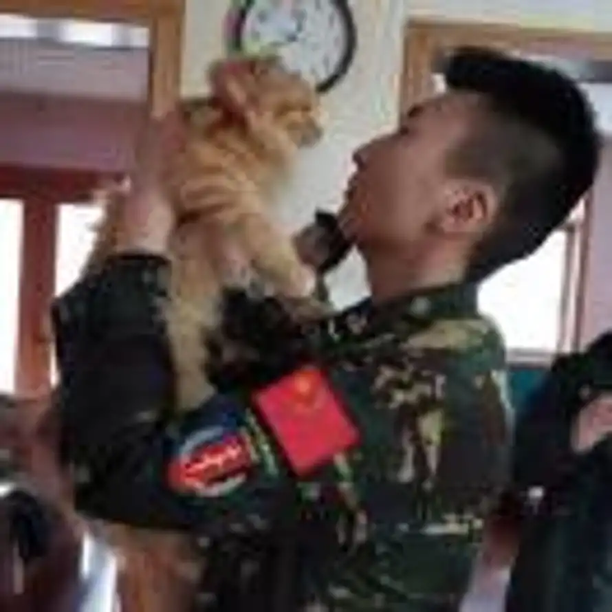 中华民族万岁！的头像
