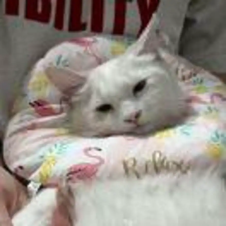 别熬夜的头像