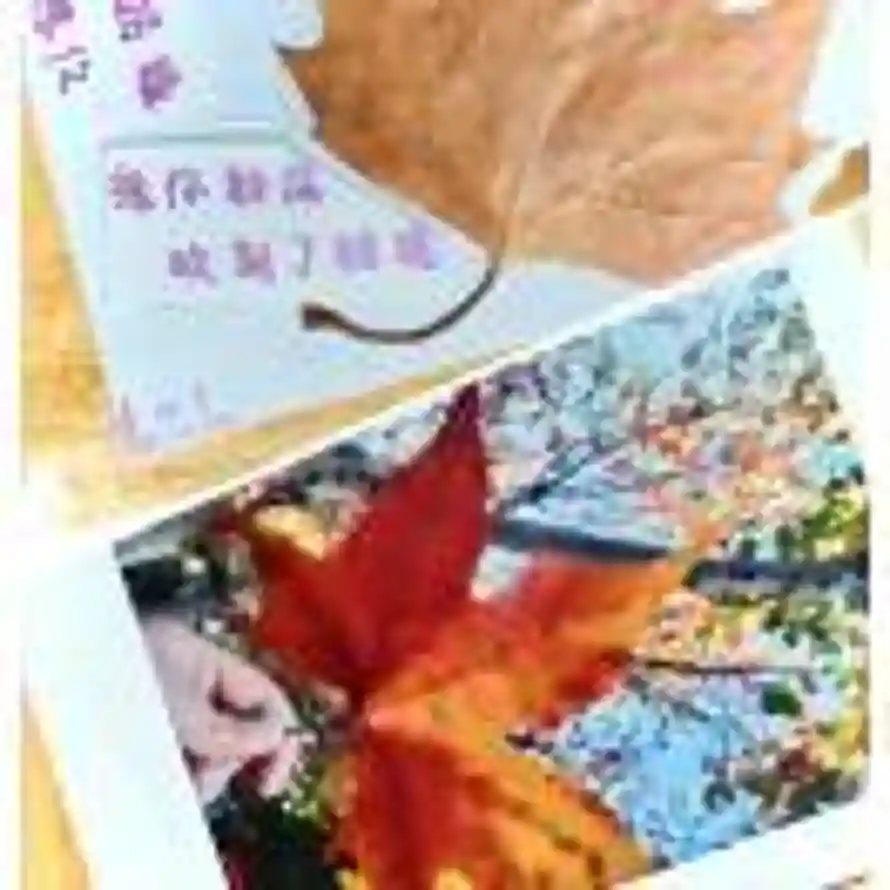 官方的头像