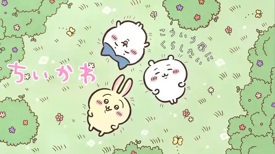 Favorite Image