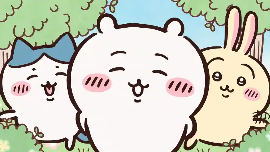 Favorite Image