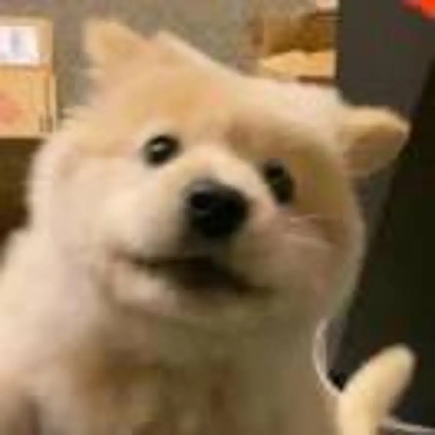 岸的头像