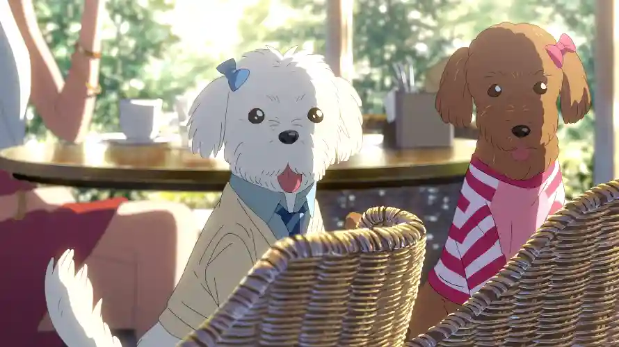 Favorite Image