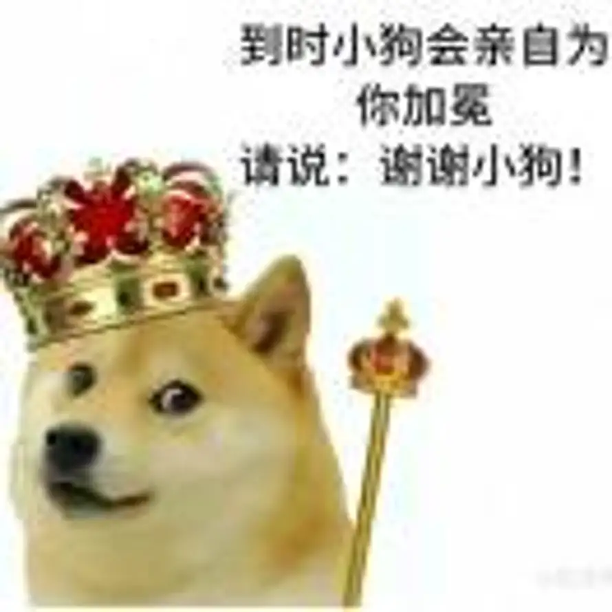03的头像