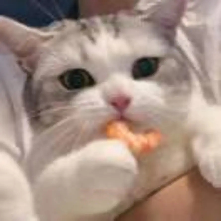 瀚冬ゝ的头像