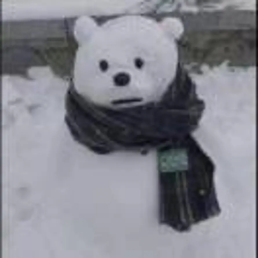 長樂的头像