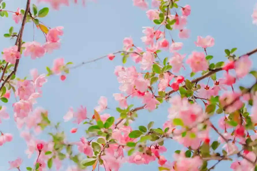 3k自然壁纸-风景 - -壁纸推荐「哲风壁纸」