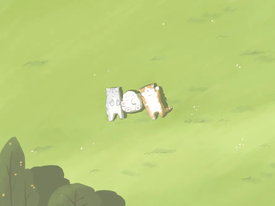 Favorite Image