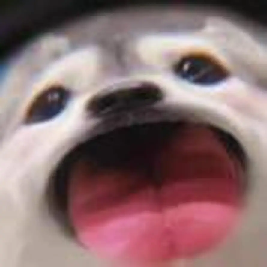 八九不离十的头像