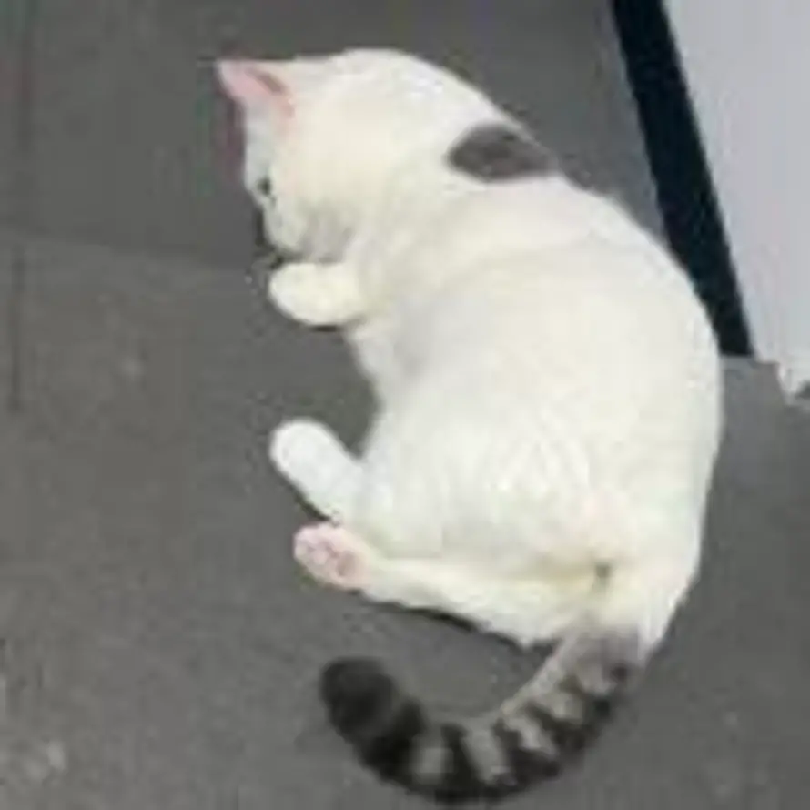 ？的头像