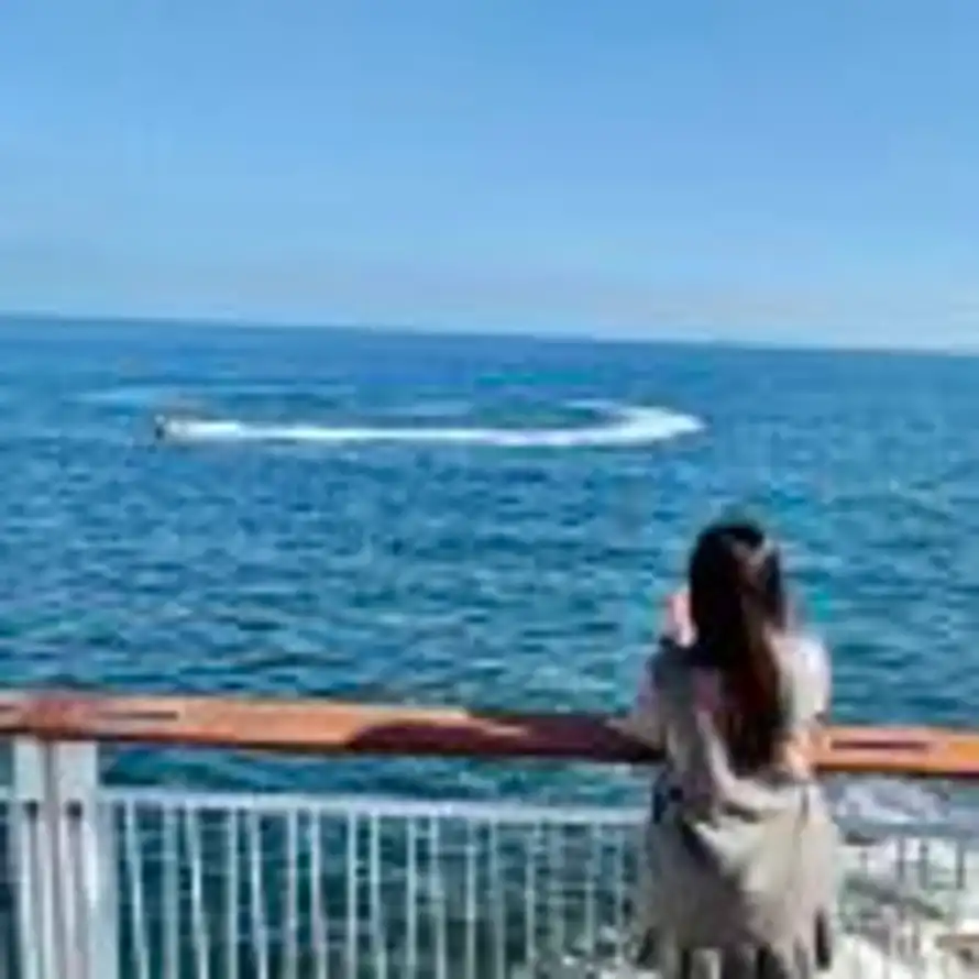 兔氧兔森嘞🌸的头像