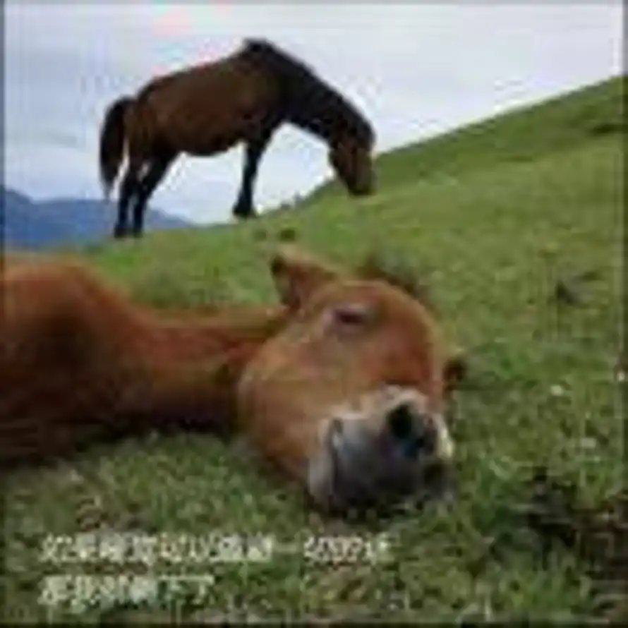 劇終的头像