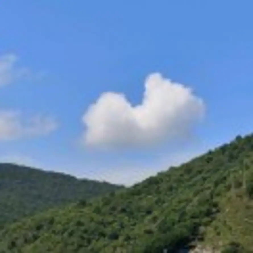 Yc的头像