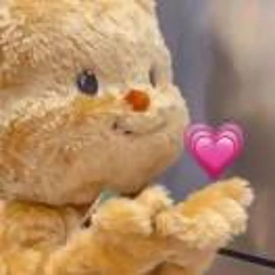 🐰的头像