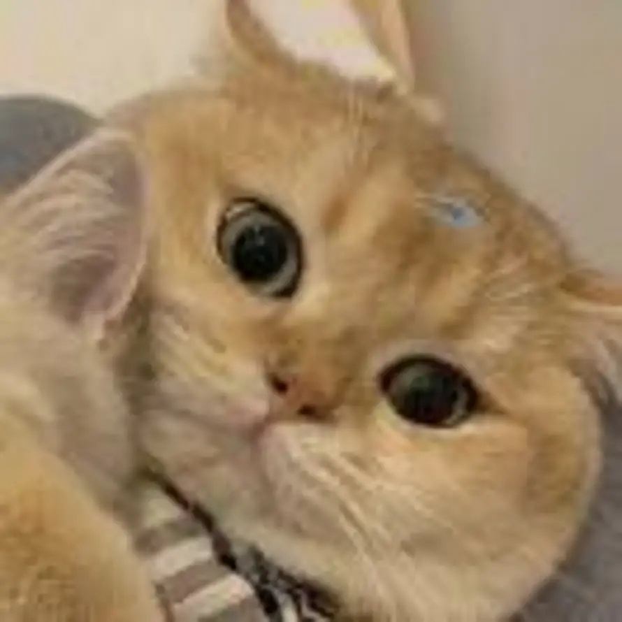 Ēarendel的头像