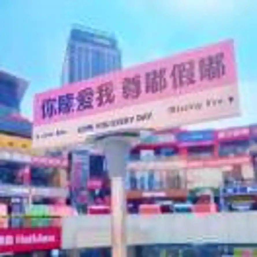 Camellia的头像