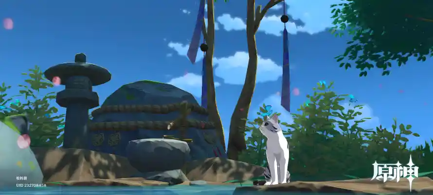 Favorite Image