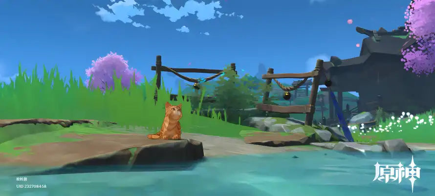 Favorite Image