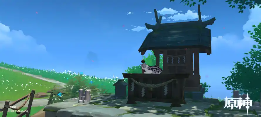 Favorite Image