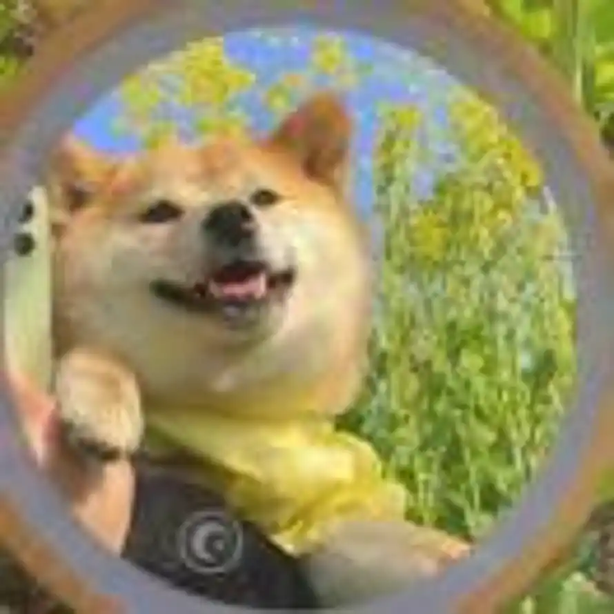 远方的头像