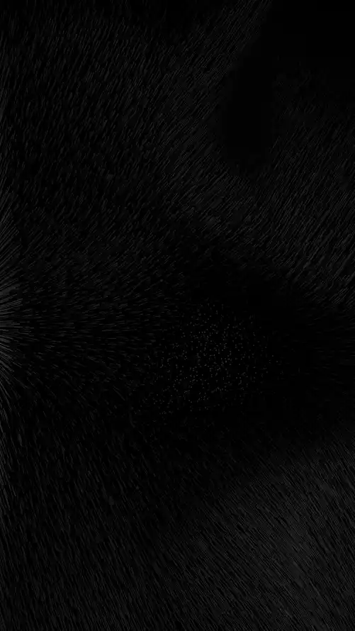 4k极简壁纸 - 黑色 - 手机壁纸 - wallpaper「哲风壁纸」