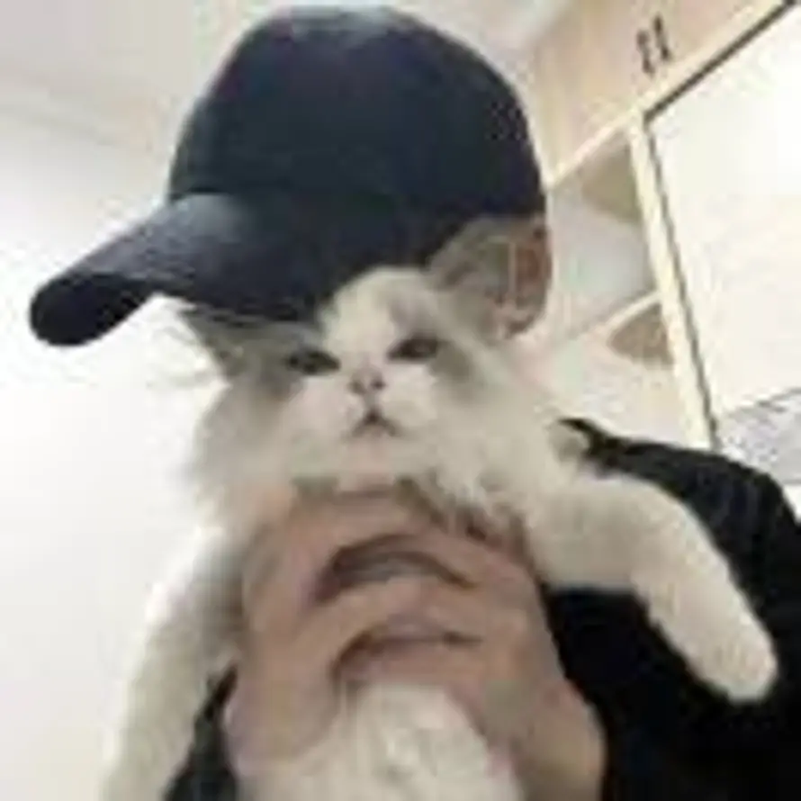 隐谕的头像