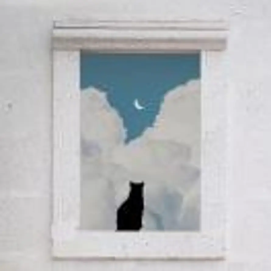 用户夏天的头像