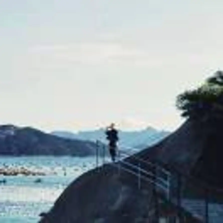 F的头像