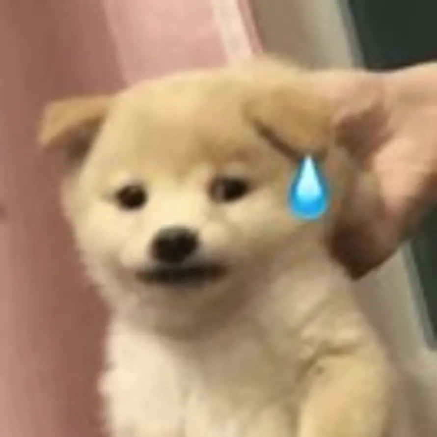 就这样吧的头像