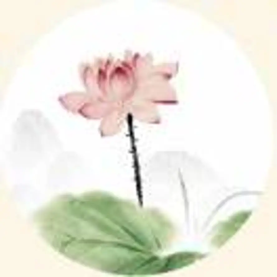 柴~薇儿的头像