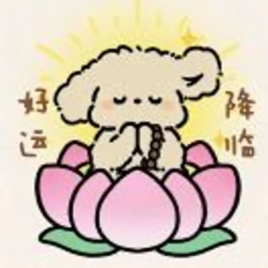 Adagio的头像