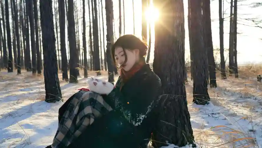 2k唯美壁纸-静坐与美女-热门的壁纸「哲风壁纸」