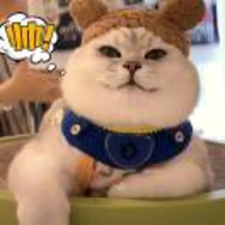 laughing的头像